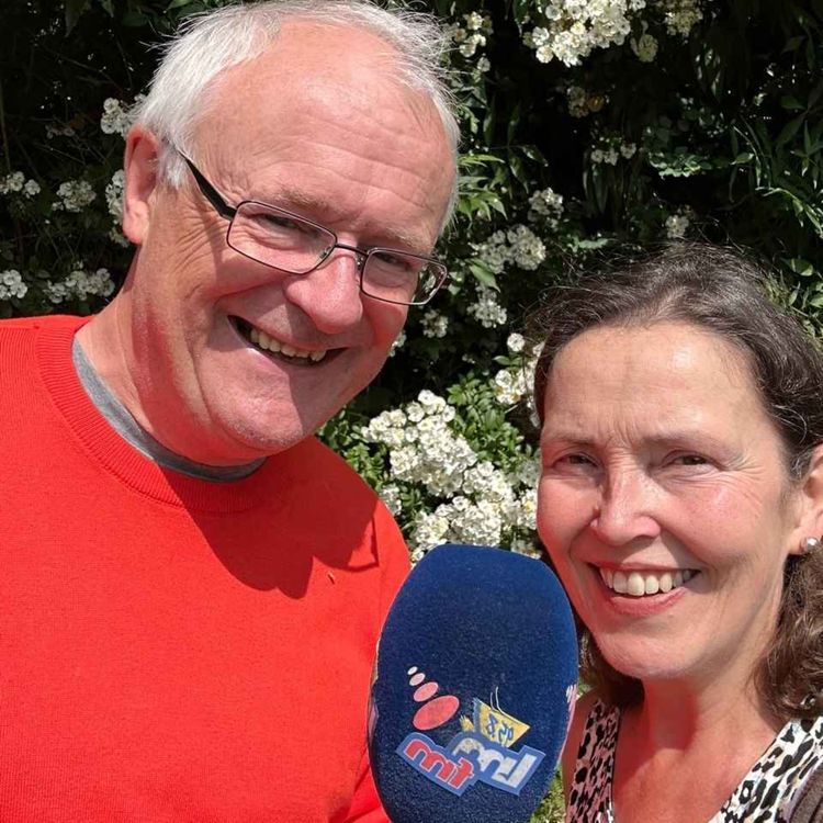 cover art for The Insomniac Gardener at Midsummer 