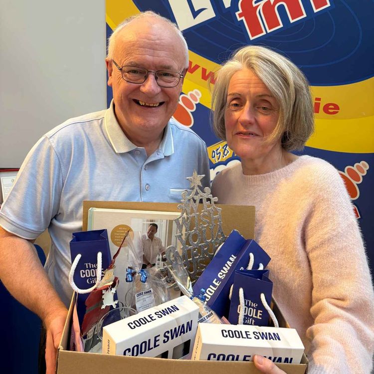 cover art for Mary Sadlier The Coolest CEO