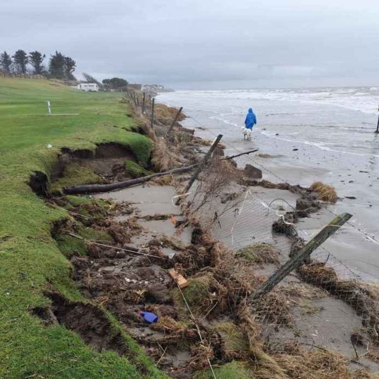cover art for Laytown Pitch & Putt Club Disappearing