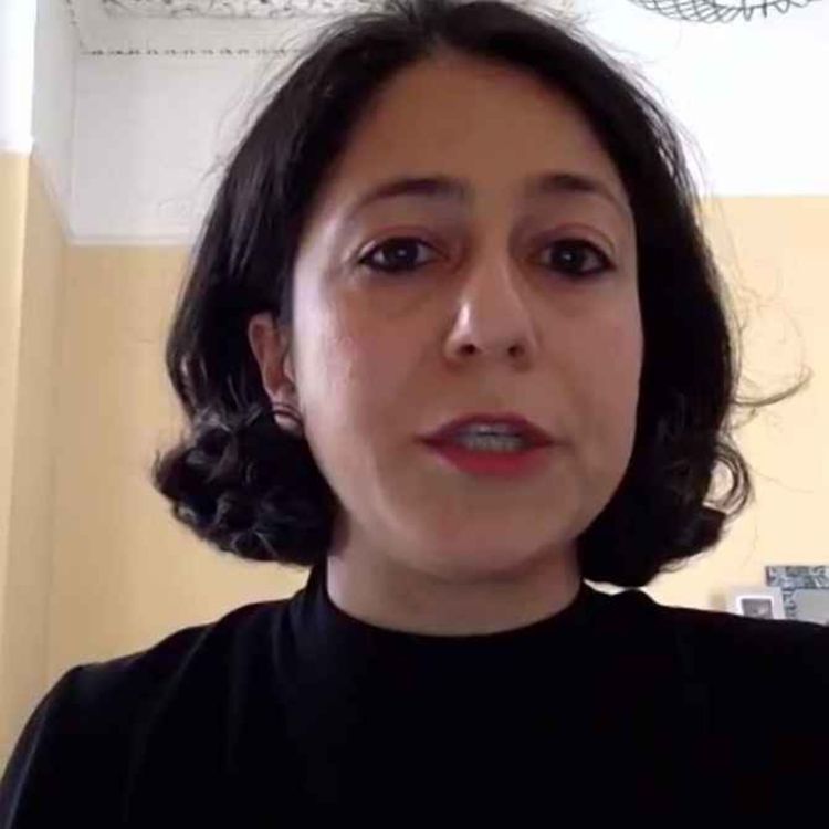 cover art for The War in Perspective with Iranian Professor Roja Fazaeli 