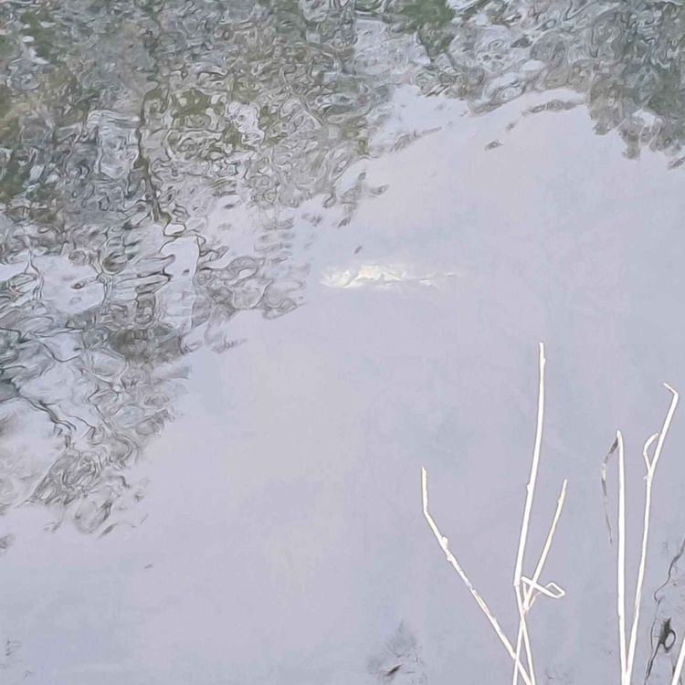 cover art for The Late Lunch Friday, April 10th, 2026