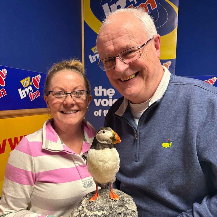 cover art for The Puffin in Focus with Aoife