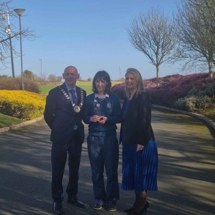 cover art for Roisin's Scrollbuster App