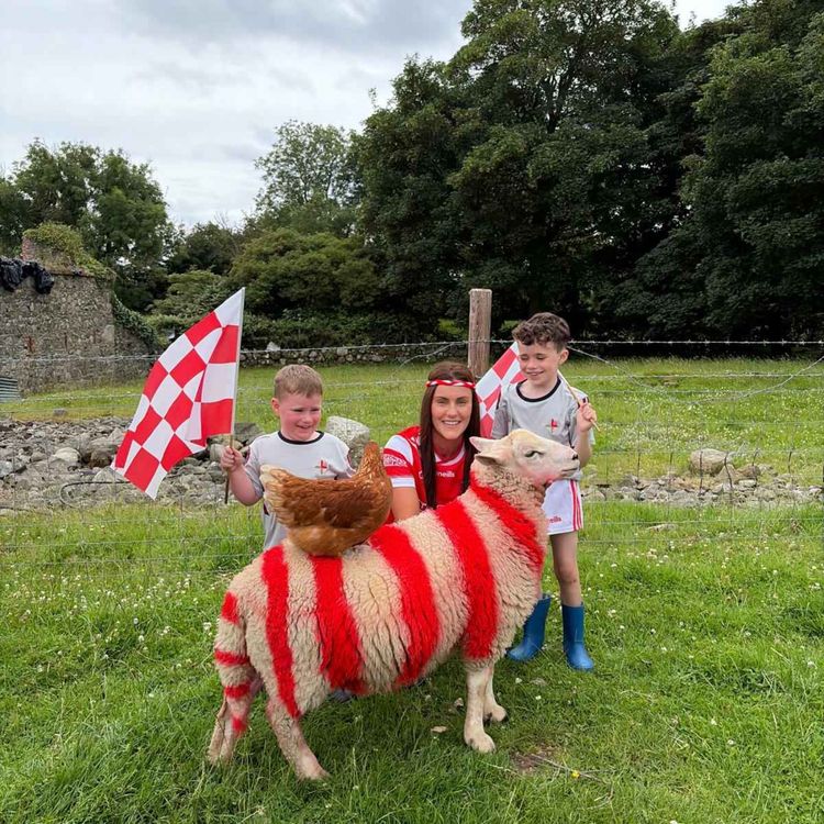 cover art for Larry the Lamb is getting a great reaction both in Lordship and online
