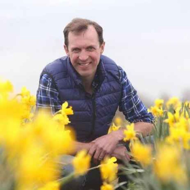 cover art for Journalist Darragh McCullough on break-in at his business