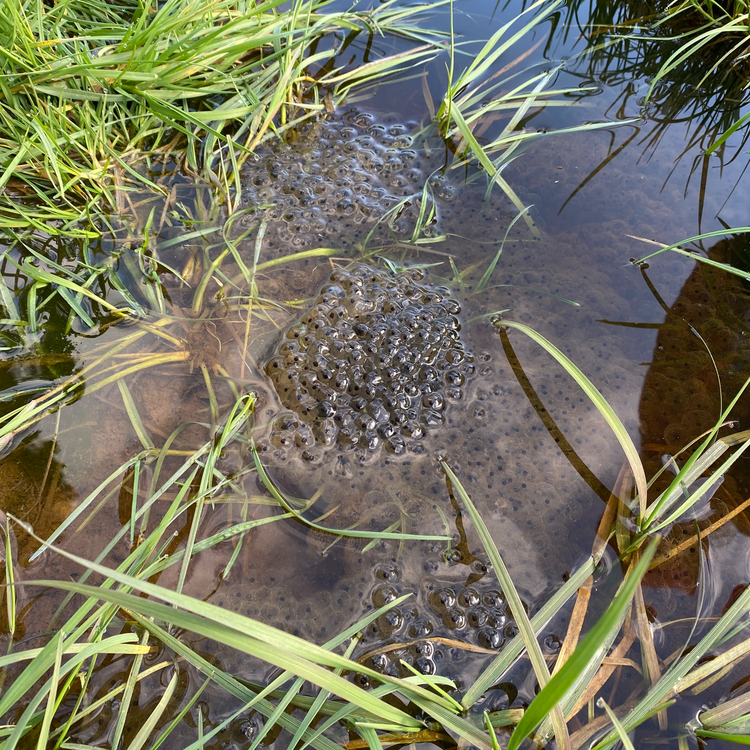 cover art for Late Lunch Monday March 1st 2021