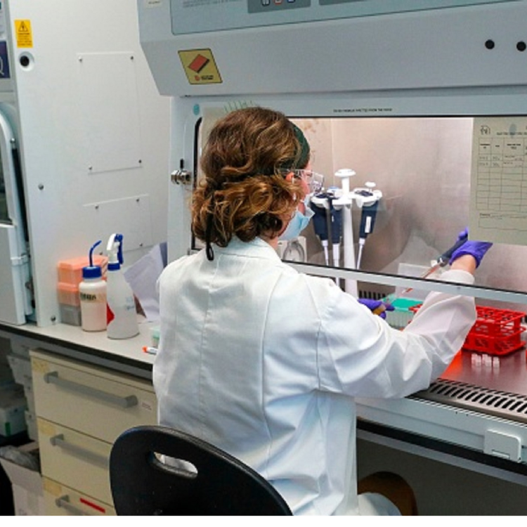 cover art for Dr Illona Duffy warns people must act like they have virus whilst awaiting test & results