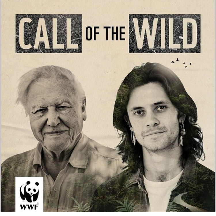 cover art for Under Cel's Spell