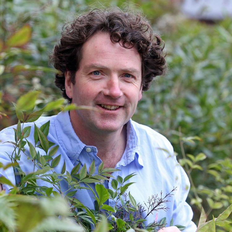 cover art for Nicola meets Diarmuid Gavin