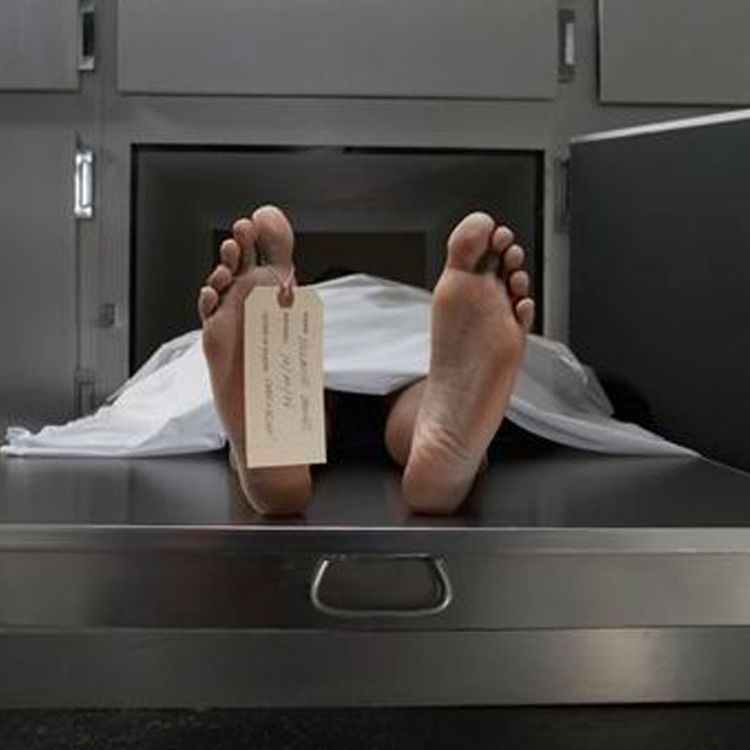 cover art for Expalined: Why Dead Bodies Continue To Move With Dr Wider