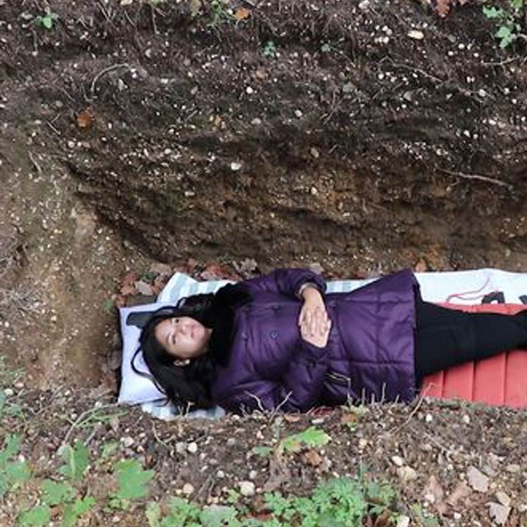 cover art for Student's Can Relax In An Open Grave In Holland