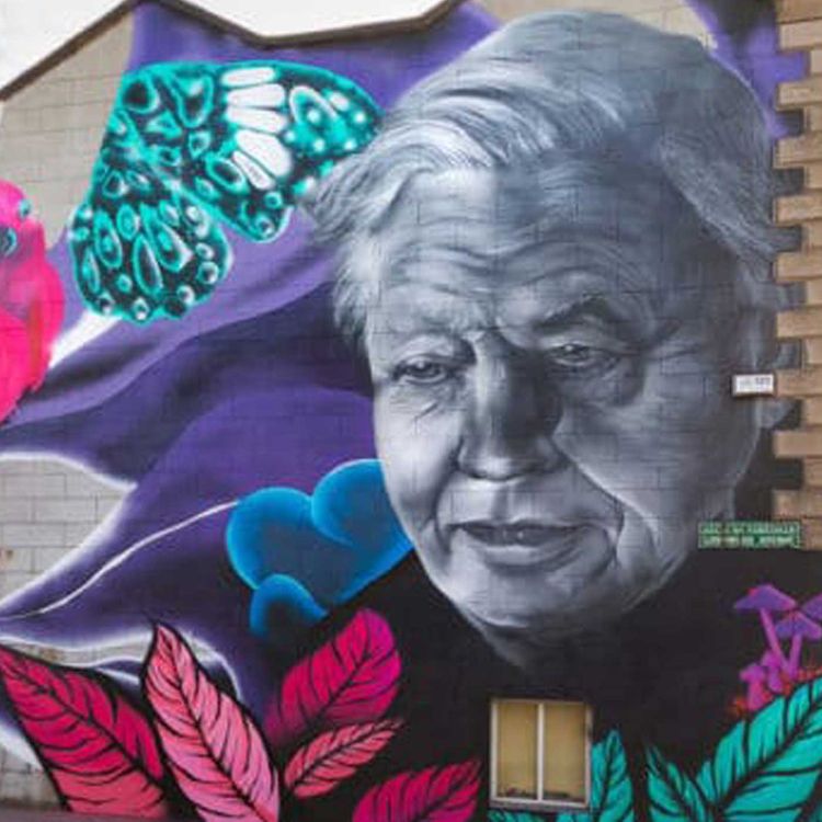 cover art for SUBSET On The Demands To Remove Their David Attenborough Mural