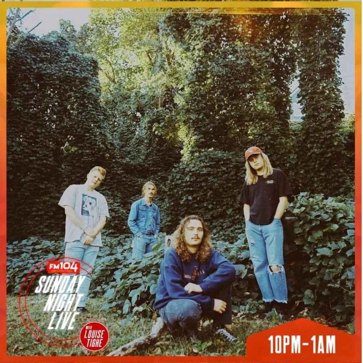 cover art for The Backseat Lovers