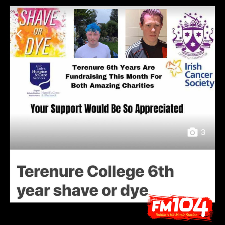 cover art for Terenure College 6th Year Shave or Dye
