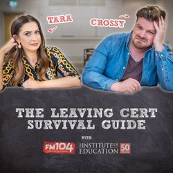 cover art for The Leaving Cert Survival Guide