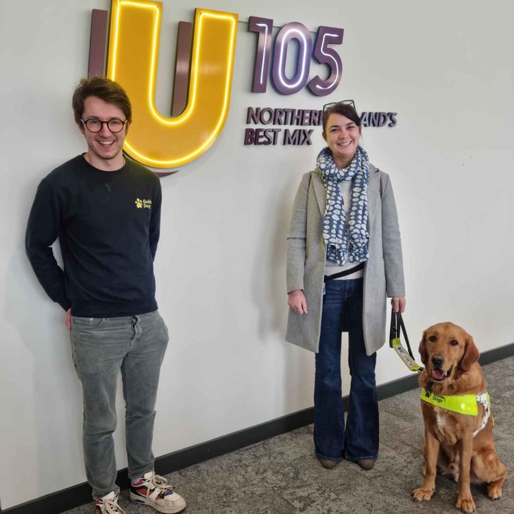 cover art for 4935: LISTEN¦ 'When the guide dog's wearing the harness, it's like a uniform, they're going to work - it's important not to distract them' Dawn, with Guide Dogs NI, tells Frank why you shouldn't pet a service dog without asking