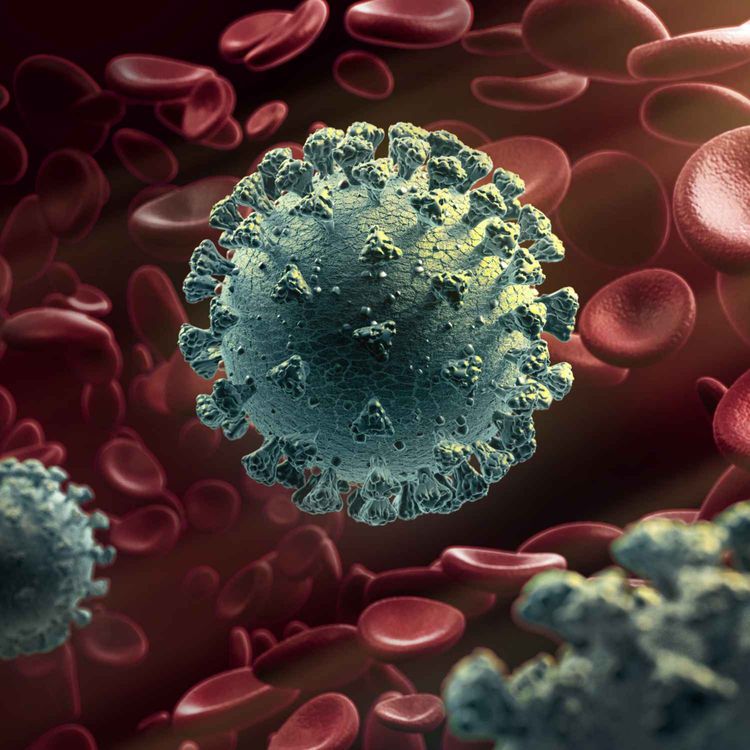 cover art for 5036: LISTEN¦ How well did Northern Ireland's politicians deal with the Pandemic? The Covid Inquiry starts in Belfast this week - Frank spoke to Brenda Doherty from the Families for Justice Group