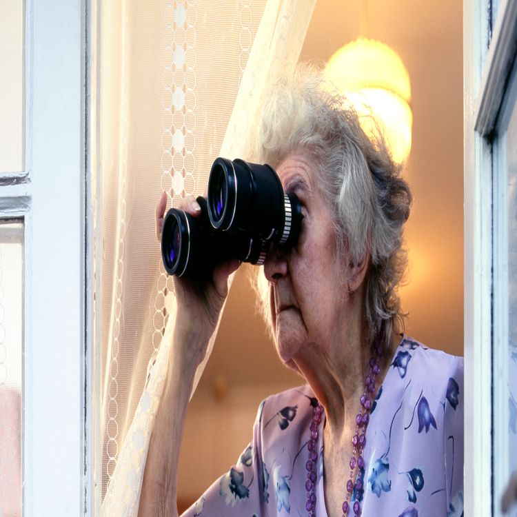 cover art for 5046: LISTEN¦ If your neighbour has an eyesore in their garden or on their house, should you be able to have it removed? Frank got the thoughts of writer Fionola Meredith