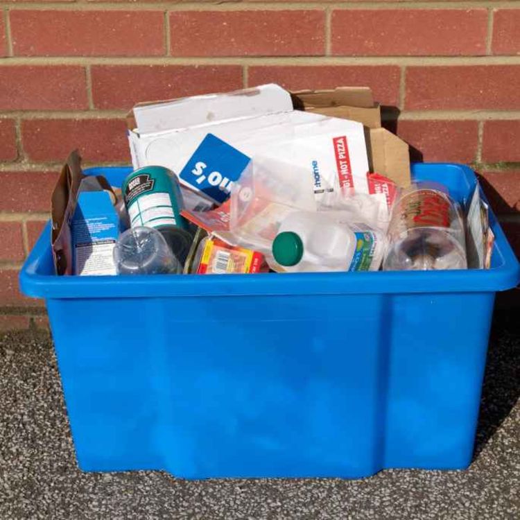 cover art for 5129: LISTEN¦ Should we punish people for not recycling or do more to incentivise it? A new study has found young people are least likely to recycle and overall rates have fallen. Frank spoke to Green leader Mal O'Hara