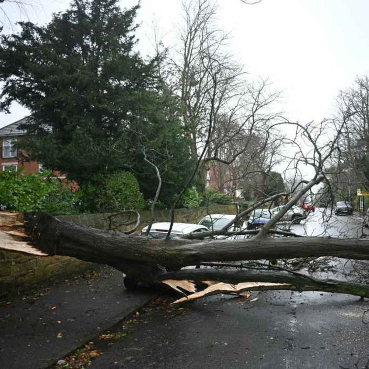 cover art for 5230: LISTEN¦ The Met Office has issued its first ever red weather warning covering the whole island of Ireland. What precautions can you take to stay safe? John spoke to health and safety expert Kelly Mulgrew