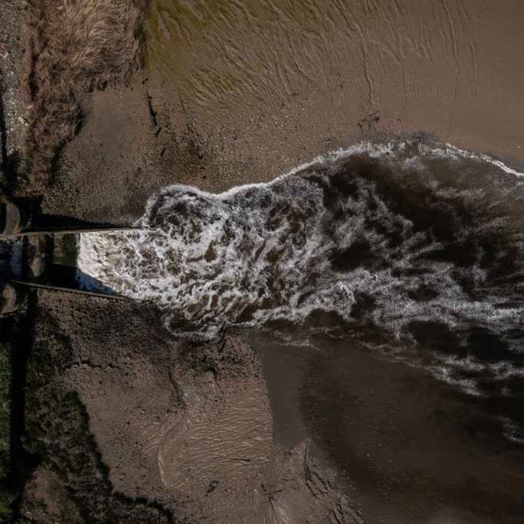cover art for 5262: LISTEN¦ Several major sewage treatment projects won't now go ahead due to funding constraints. What impact will that have on water quality in areas including Belfast Lough? Rick spoke to Cllr Anthony Flynn from the Green Party