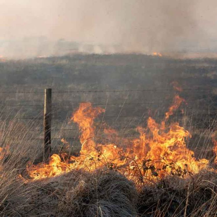 cover art for 5310: LISTEN¦ 'This Executive is not delivering to try and find and challenge the causes of the fires and make sure this doesn't happen again' - SDLP MLA Colin McGrath spoke to Frank about his frustration that pledges had not been fulfilled