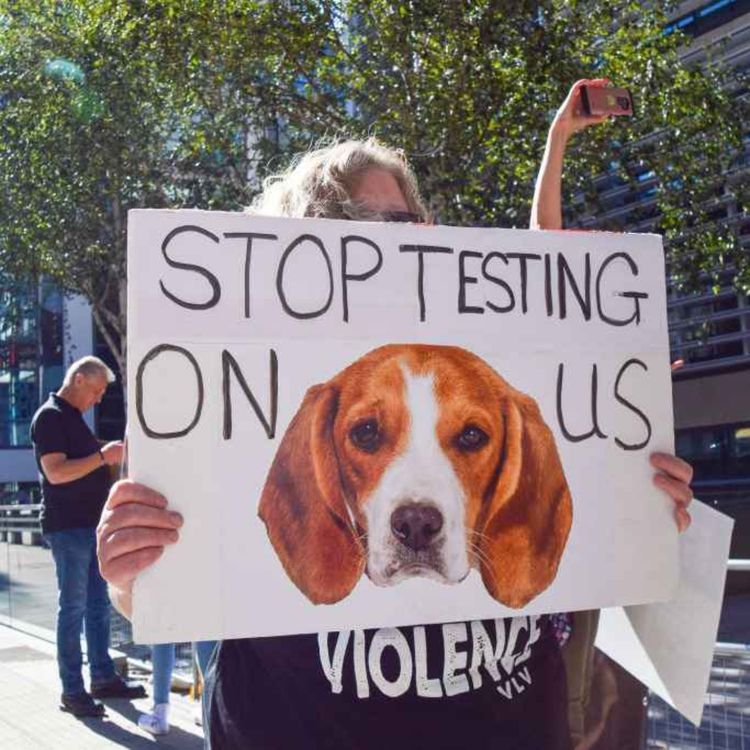 cover art for 5333: LISTEN¦ Should animal testing for medicines be banned? MPs debated yesterday, after a public petition attracted 250,000 signatures. John spoke to Suzanne Martin from SAFRIreland