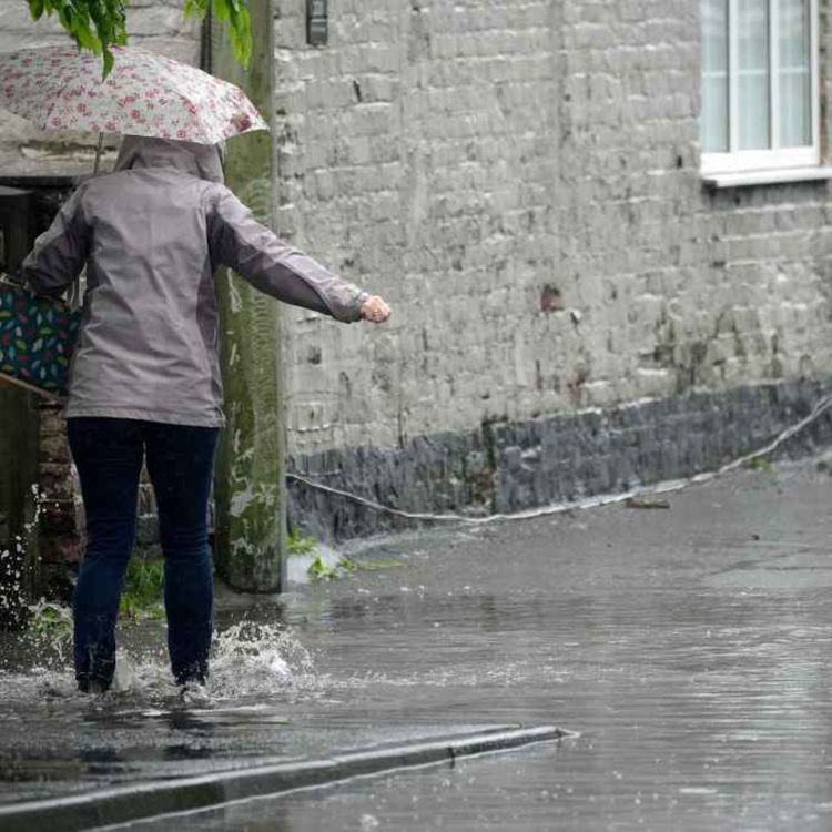 cover art for 5448: LISTEN¦ The flood clean-up continues after some of the worst rains in years left some Newcastle residents trapped in their homes. Frank spoke to local Alliance MLA Andrew McMurray and Sam Anderson from the Regional Community Resilience Group