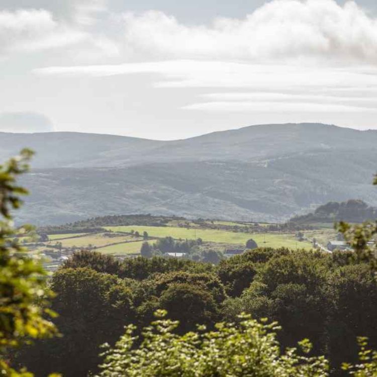 cover art for 5569: LISTEN¦ A local councillor says he's 'alarmed' by the scale of plans for a major tourist development at Kilbroney, after the proposal for a gondola style lift in the Mournes was shelved