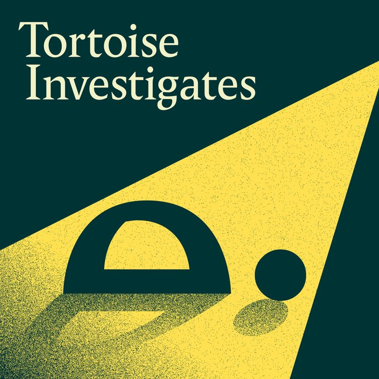 cover art for Introducing ... Tortoise Investigates 