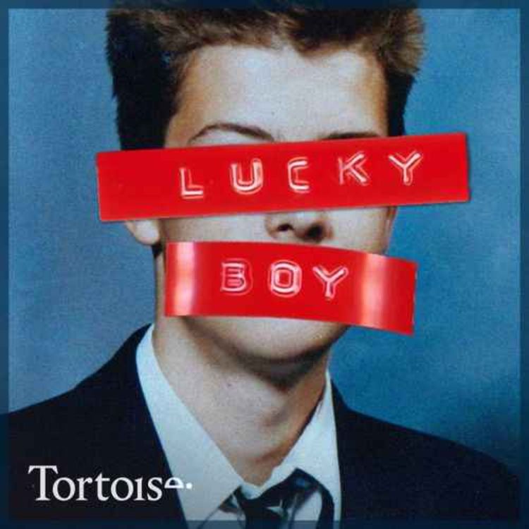 cover art for Introducing ... Tortoise Investigates