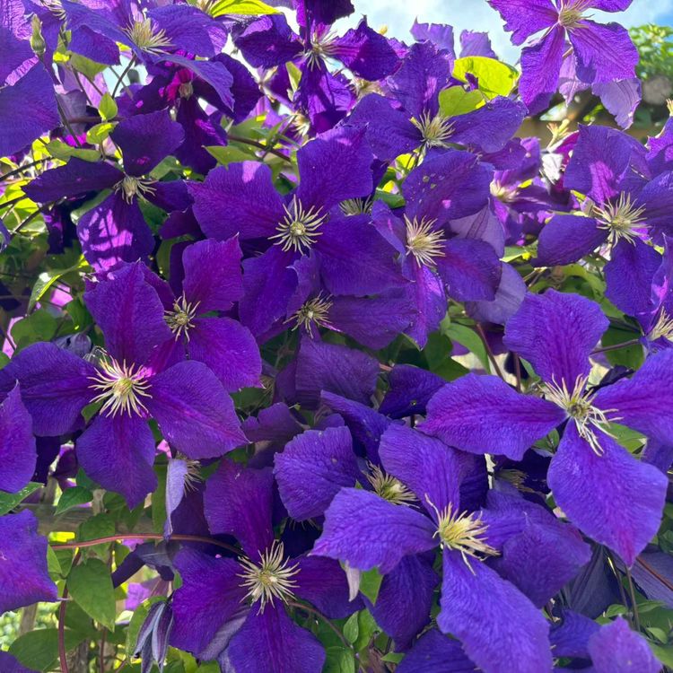 cover art for 32. Samhällsinformation