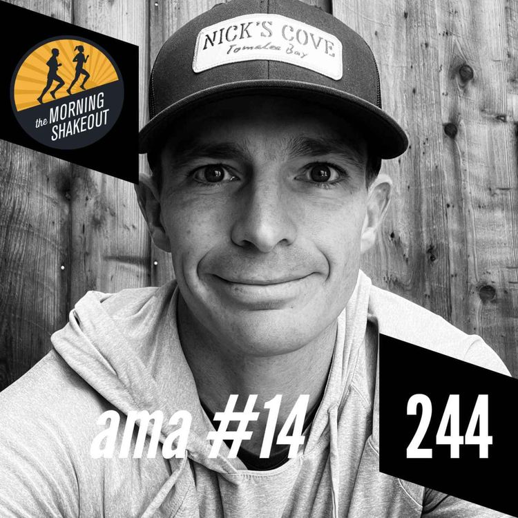 cover art for Episode 244: Ask Mario Anything