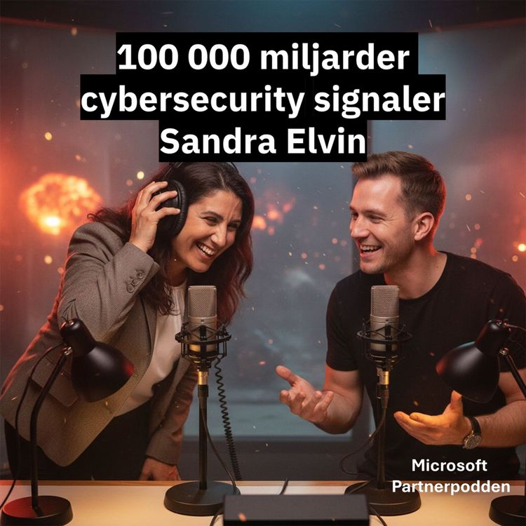 cover art for 100 000 miljarder cybersecurity signaler - Sandra Elvin