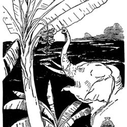 cover art for Histoires comme ça