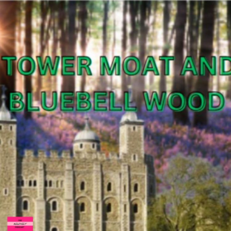 cover art for TowerMoatAndBluebellWood