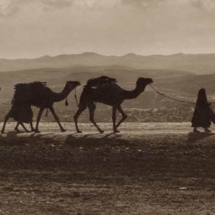 cover art for Religion in Pre-Islamic Arabia