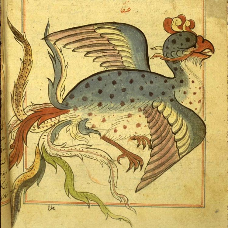 cover art for Anqa - Arabic Folklore's Most Elusive Creature