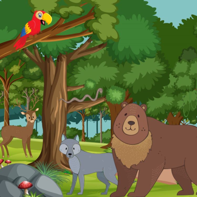 cover art for Wald-Tiere Serie: Vorstellung Konzept mit Amadeus Ackermann
