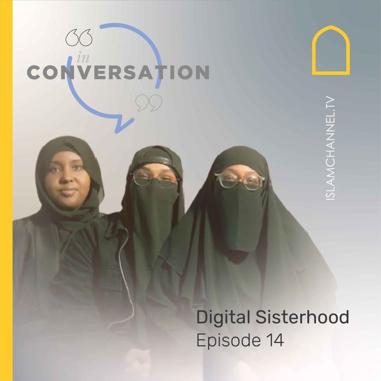 cover art for In conversation with EP14