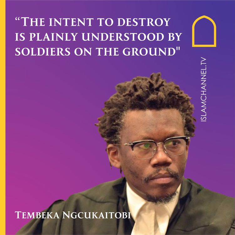 cover art for IN FULL: ICJ South Africa lawyer Tembeka Ngcukaitobi's submission to World Court on Israel