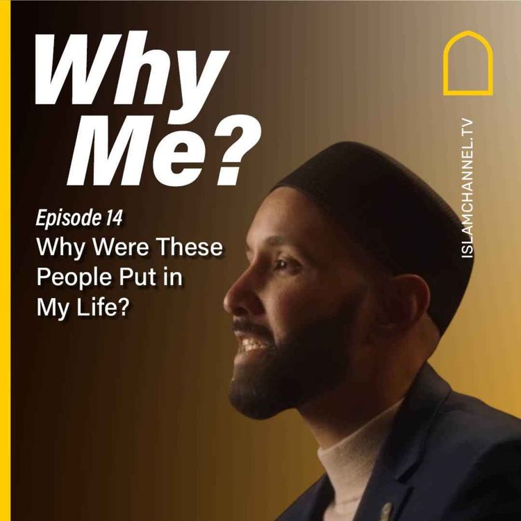 cover art for WHY ME? EP14