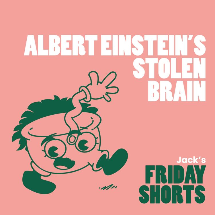 cover art for Albert Einstein’s Stolen Brain