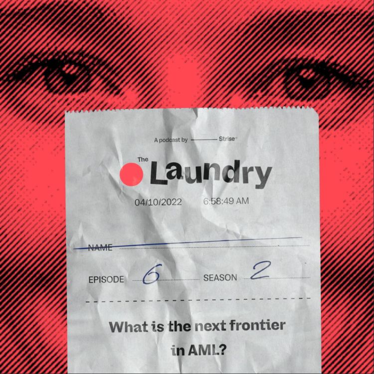 cover art for E33: What is the next frontier in AML?