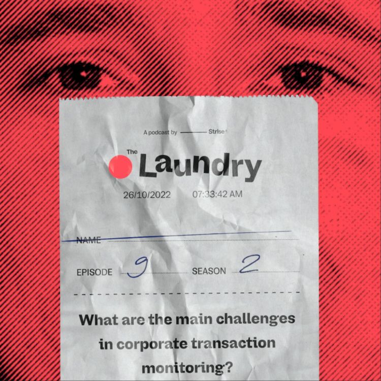 cover art for E36: The 3 main challenges in corporate transaction monitoring.