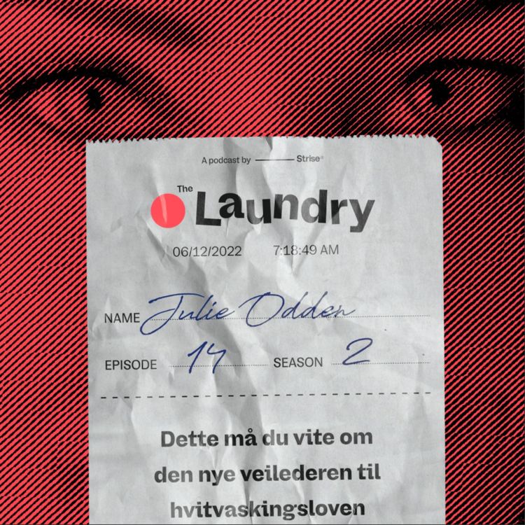 cover art for E41: Dette må du vite om den nye veilederen til hvitvaskingsloven