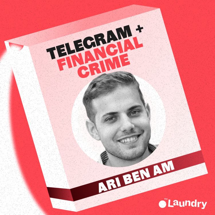 cover art for E95: Inside Telegram: What financial criminals talk about in secret