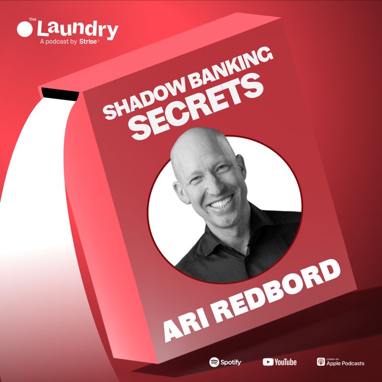 cover art for E133: The secrets of shadow banking