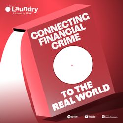 cover art for The Laundry