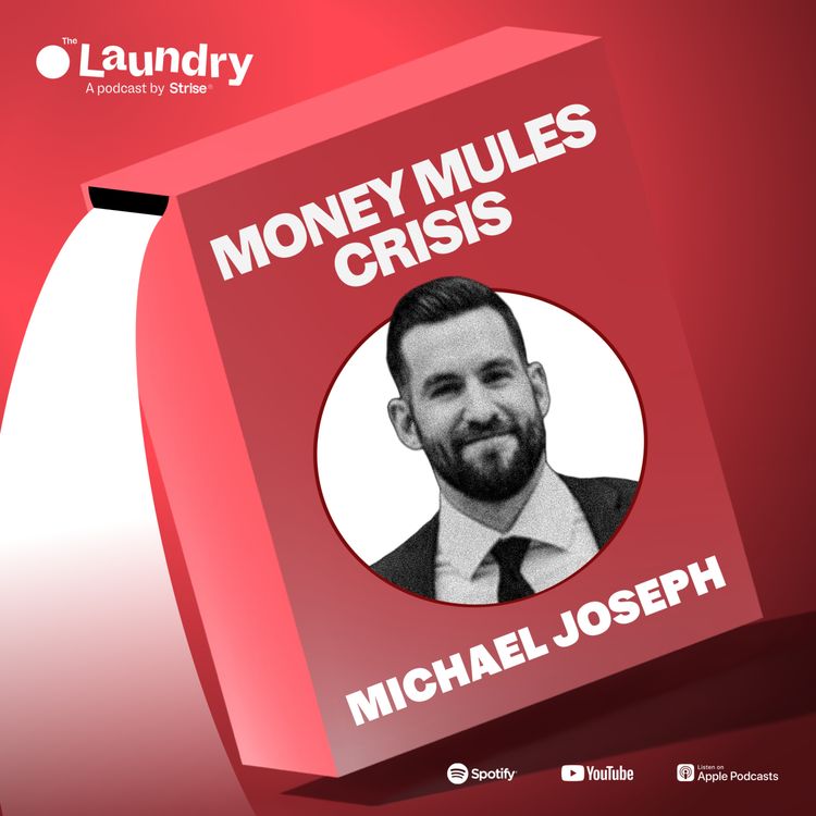 cover art for E138: How can data help solve the money mule crisis?